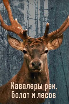 Фото - постер к Кино Кавалеры рек, болот и лесов на kudapoiti.by
