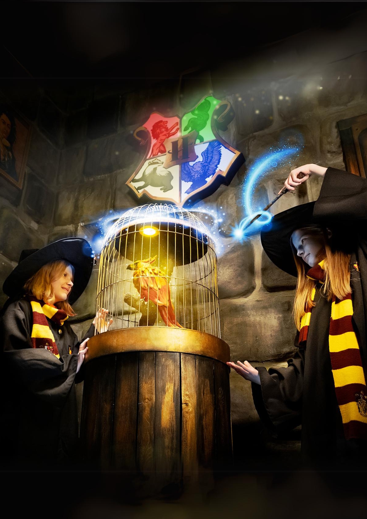 Фото - постер к Квесты и квизы Гарри Поттер: заклятие Хогвартса на kudapoiti.by