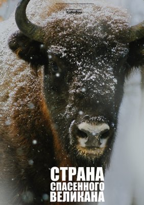 Фото - постер к Кино СТРАНА СПАСЕННОГО ВЕЛИКАНА на kudapoiti.by