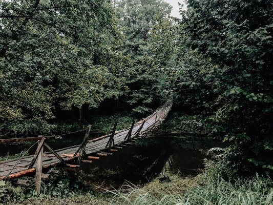 Тропами Вилейского края: 30 км приключений между водой и соснами