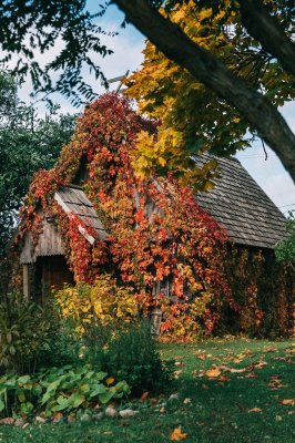 Фото - постер к Музеи и выставки Экскурсіі ў Фальварак Ракуцёўшчына на kudapoiti.by